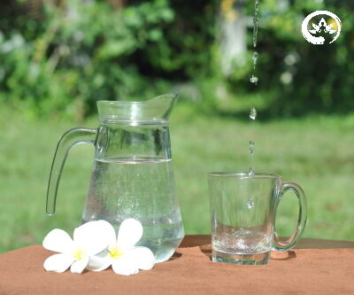 Детокс программа — голодание 1 день