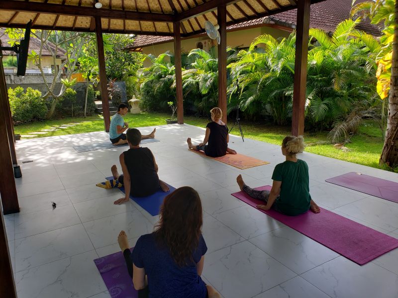 Йога-практика дома: годовой курс